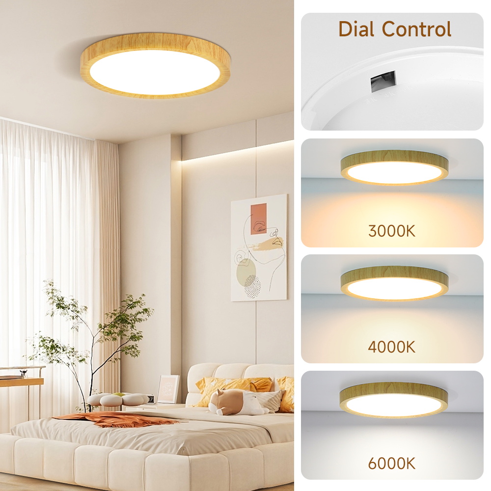 2.2Cm Ultra Dunne Led Plafondl - Colour Changing Bulb recensie en prijs